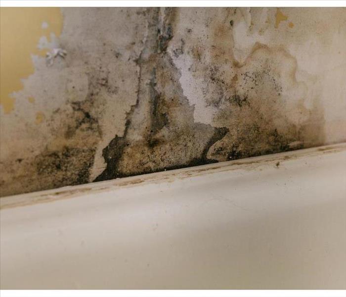 Mold on wall due to humidity.