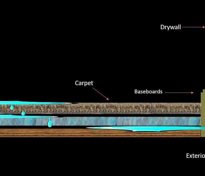 Understanding Water Damage